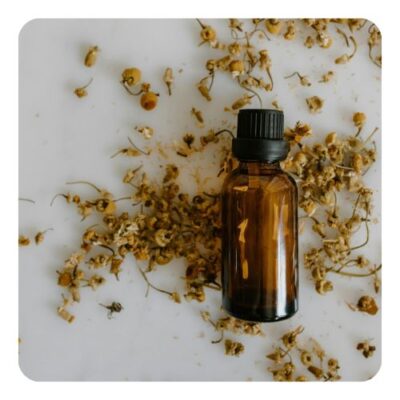 Fragrances & Colours