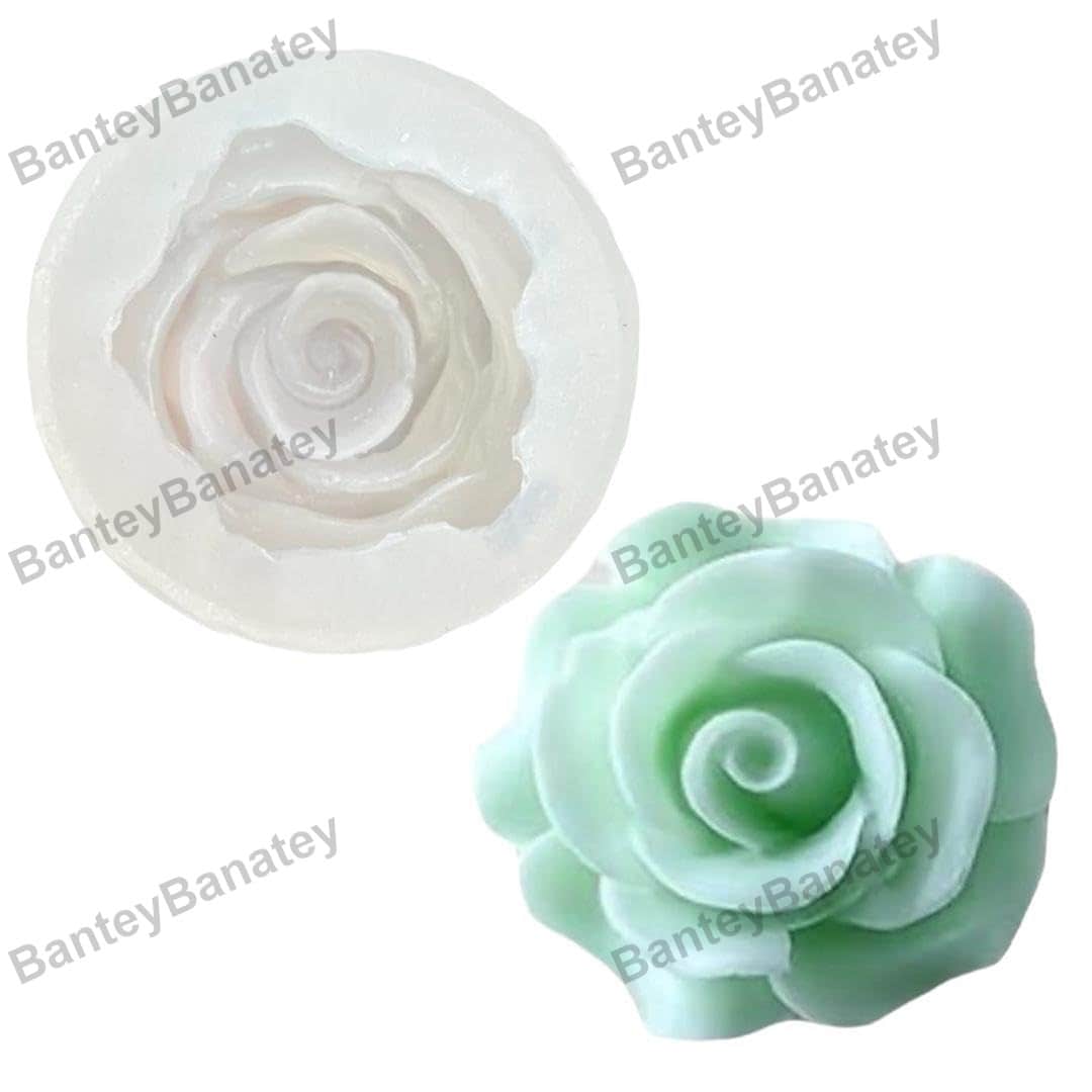 51Lx++5VChL._SL1080_