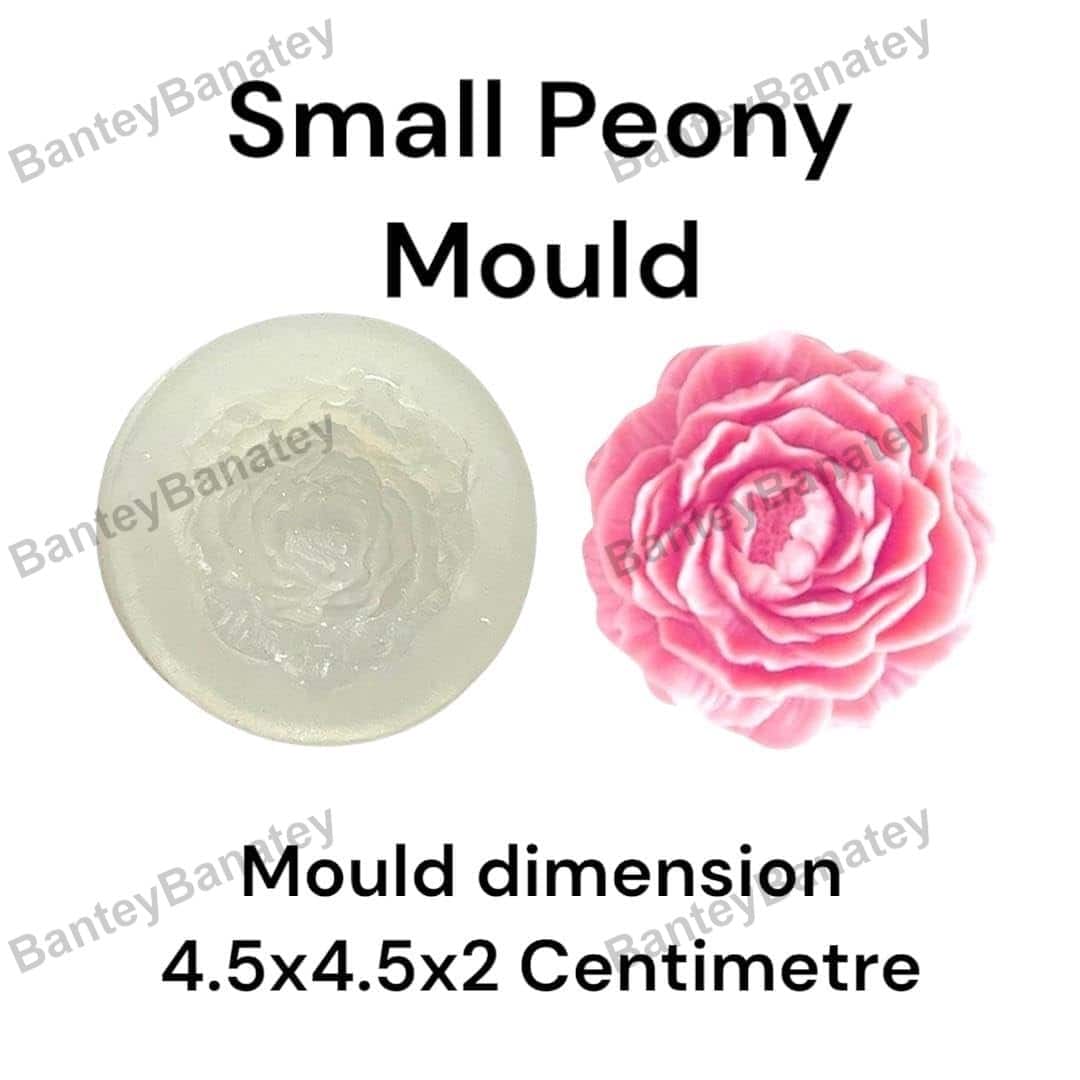 51N9XDVJw3L._SL1080_