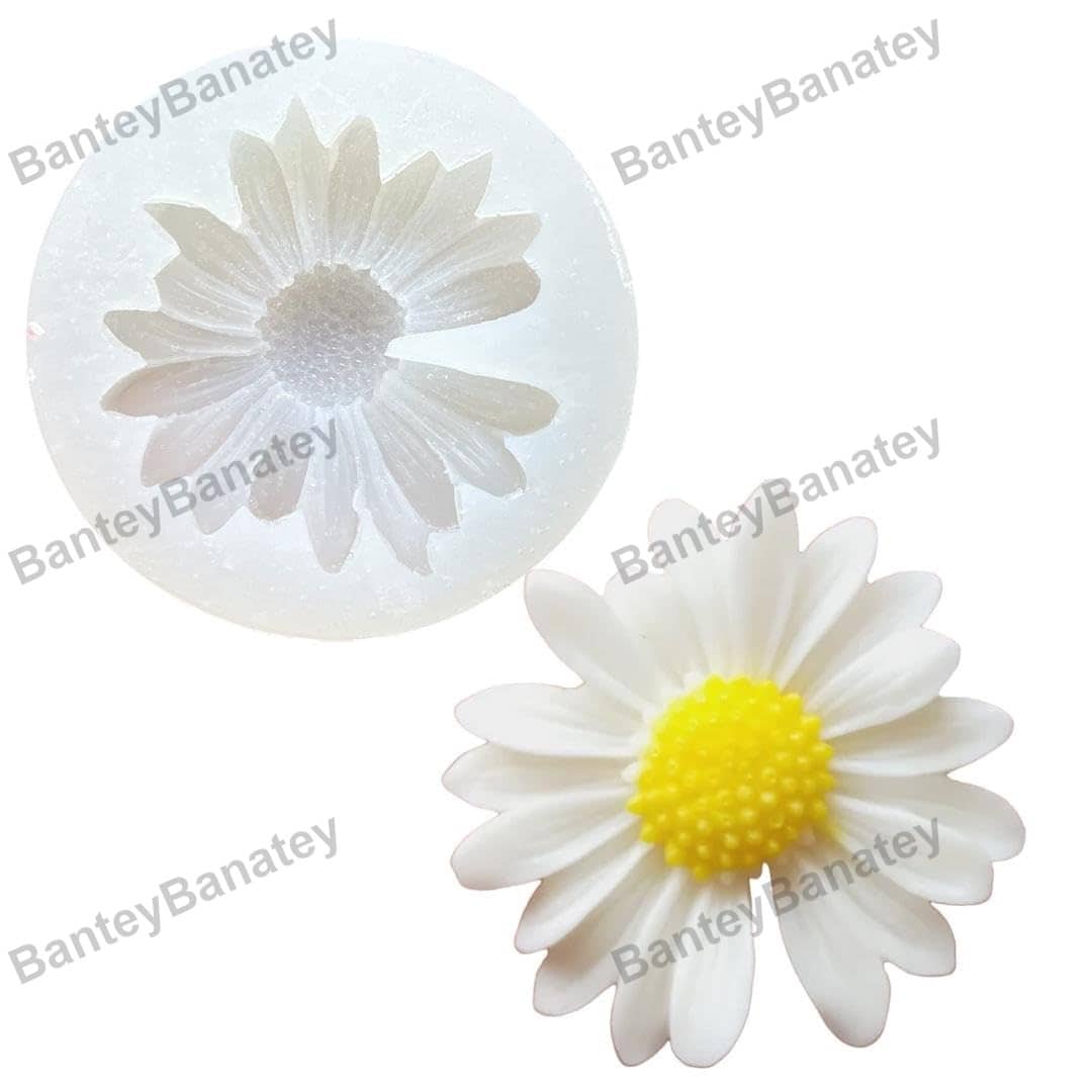 51rnVTCcfuL._SL1080_