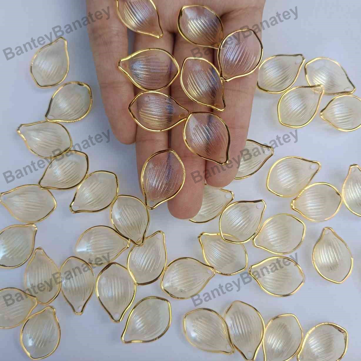 yellowish with golden line (1)