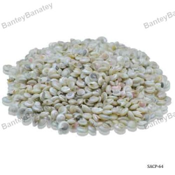 shells-pabukannu-small-100gm.jpg